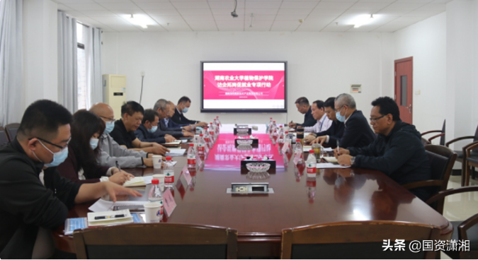 杏吧原创
,长沙杀虫剂,长沙光气衍生物,长沙氨基酸保护剂,长沙锂离子电池材料