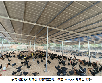 杏吧原创
,长沙杀虫剂,长沙光气衍生物,长沙氨基酸保护剂,长沙锂离子电池材料