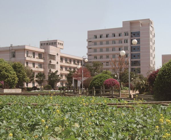 杏吧原创
,长沙杀虫剂,长沙光气衍生物,长沙氨基酸保护剂,长沙锂离子电池材料