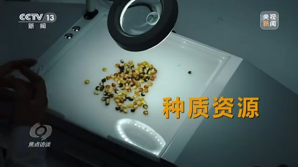 杏吧原创
,长沙杀虫剂,长沙光气衍生物,长沙氨基酸保护剂,长沙锂离子电池材料