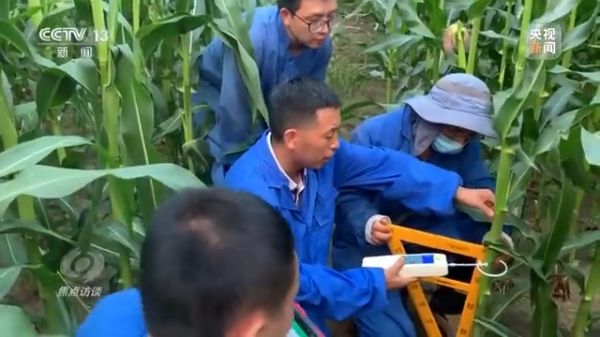 杏吧原创
,长沙杀虫剂,长沙光气衍生物,长沙氨基酸保护剂,长沙锂离子电池材料