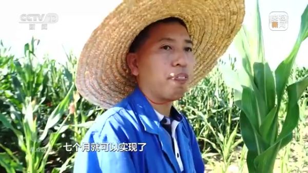 杏吧原创
,长沙杀虫剂,长沙光气衍生物,长沙氨基酸保护剂,长沙锂离子电池材料