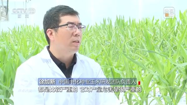 杏吧原创
,长沙杀虫剂,长沙光气衍生物,长沙氨基酸保护剂,长沙锂离子电池材料