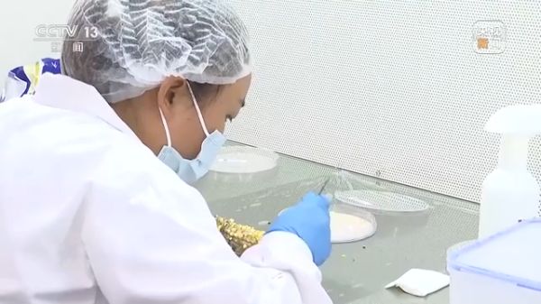 杏吧原创
,长沙杀虫剂,长沙光气衍生物,长沙氨基酸保护剂,长沙锂离子电池材料